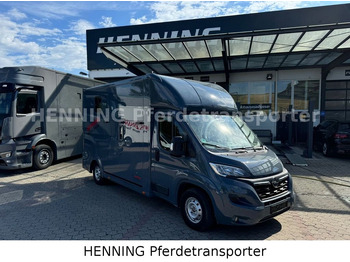 Horse truck OPEL
