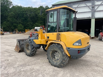 Wheel loader Volvo L 35 B-Z: picture 5