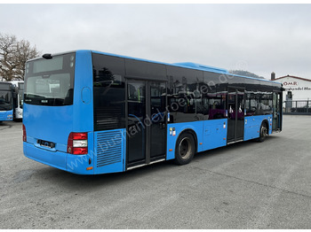 City bus MAN A 21 Lion´s City: picture 3