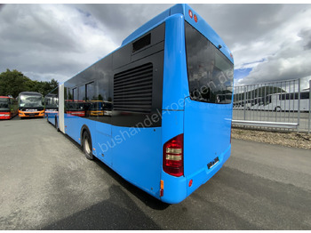 Leasing of Mercedes-Benz Conecto G Mercedes-Benz Conecto G: picture 4