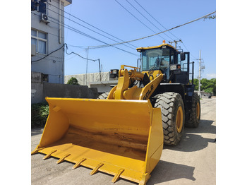 Wheel loader SDLG L956F: picture 5