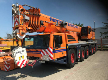 Leasing of Terex Demag AC 250-5 Terex Demag AC 250-5: picture 1