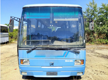 City bus MAN