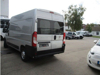 Small van Fiat Ducato: picture 3