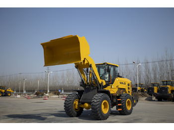 New Wheel loader SDLG L938H: picture 2