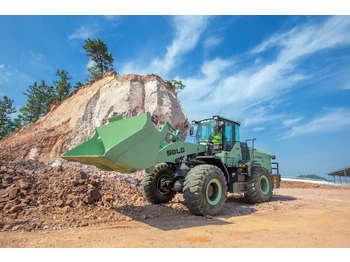 Leasing of SDLG L948HEV SDLG L948HEV: picture 2