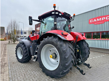 Farm tractor Case IH Puma 240 CVX Stage V GPS RTK: picture 2 Farm tractor Case IH Puma 240 CVX Stage V GPS RTK: picture 2