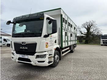 Livestock truck MAN TGM 15.290