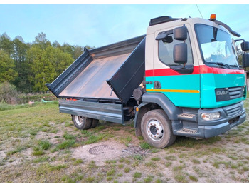Tipper DAF LF 55.220: picture 5