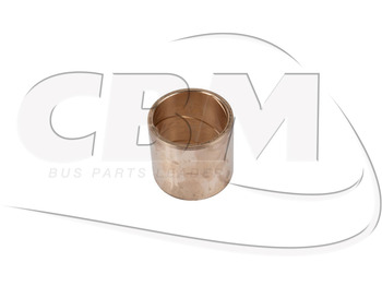 : header image