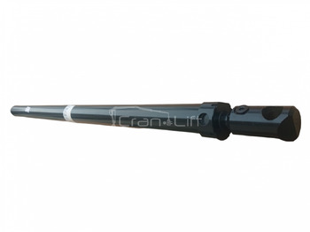 Hydraulic cylinder