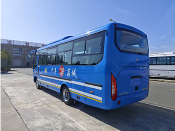 New Coach DONGFENG CNG  30 seats: picture 3