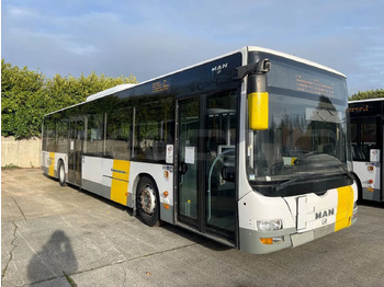 City bus MAN Lion's City