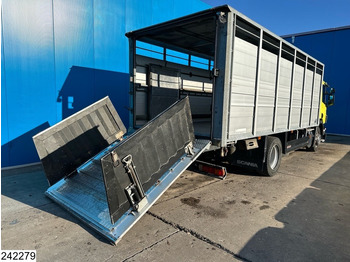 Livestock truck Scania P 320 EURO 5, Manual transmission, Retarder: picture 4 Livestock truck Scania P 320 EURO 5, Manual transmission, Retarder: picture 4
