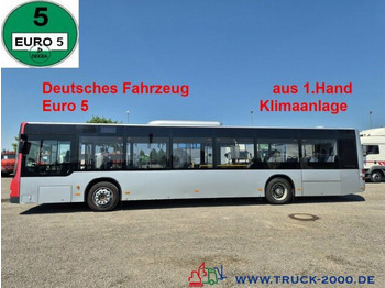 City bus MAN Lion's City A37