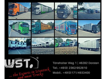 Refrigerator semi-trailer KRONE