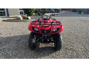 Side-by-side/ ATV Yamaha Big bear 250: picture 4