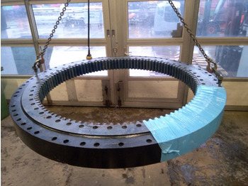 Slewing ring CASE