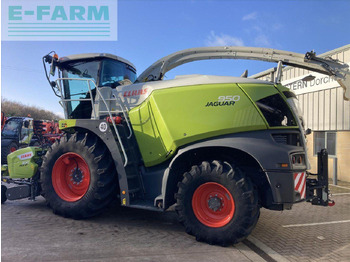 Forage harvester CLAAS USED 2023 JAGUAR 950 - STAGE V: picture 3