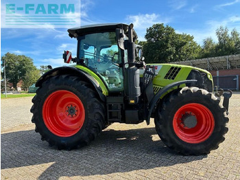 Farm tractor CLAAS arion 660 cebis: picture 3