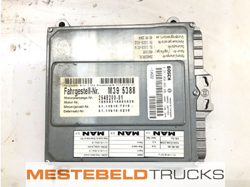 Electrical system MAN M2000