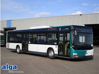 City bus MAN Lion's City A21