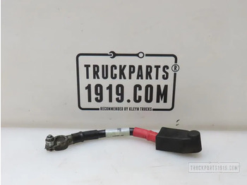 Cables/ Wire harness DAF