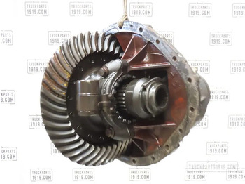 Differential gear DAF