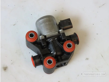 Muffler/ Exhaust system DAF