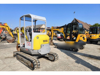 Mini excavator WACKER NEUSON 28Z3 RD - Crawler mini excavator: picture 3