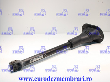 Cab and interior DAF XF