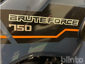 Side-by-side/ ATV KAWASAKI Brute Force 750: picture 4