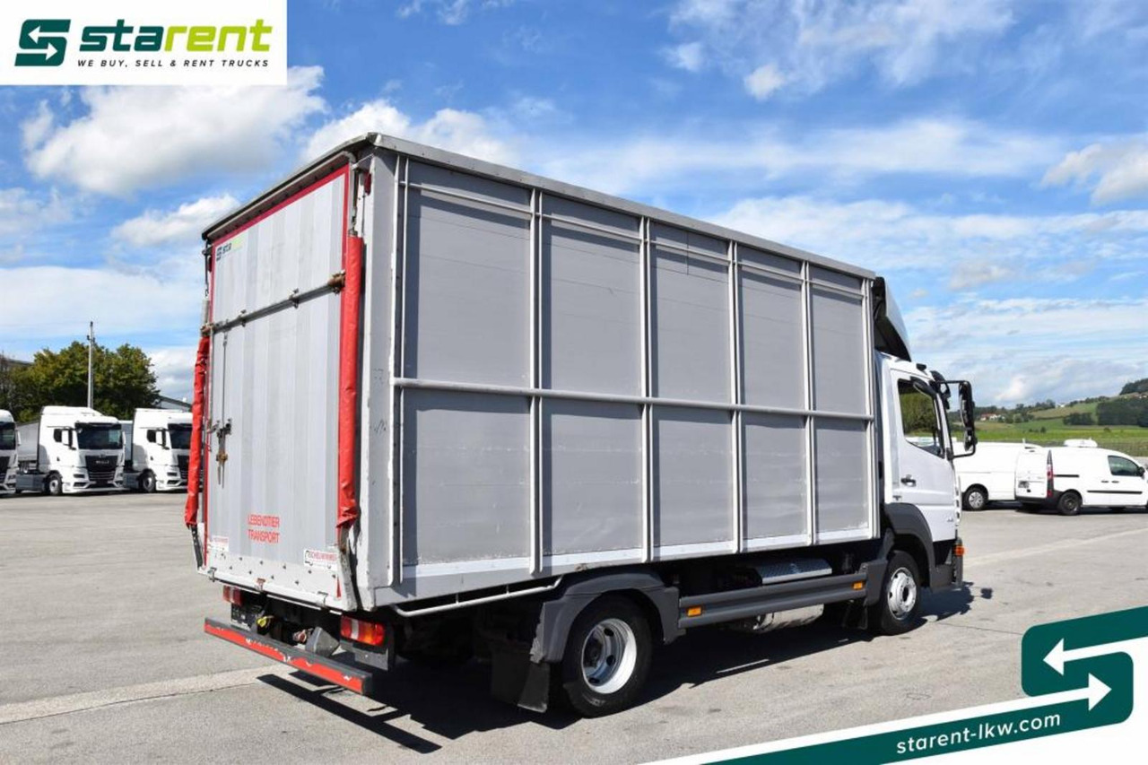Mercedes Benz 818 Viehtransporter Scheuwimmer Aufbau - Livestock truck: picture 5 Mercedes Benz 818 Viehtransporter Scheuwimmer Aufbau - Livestock truck: picture 5