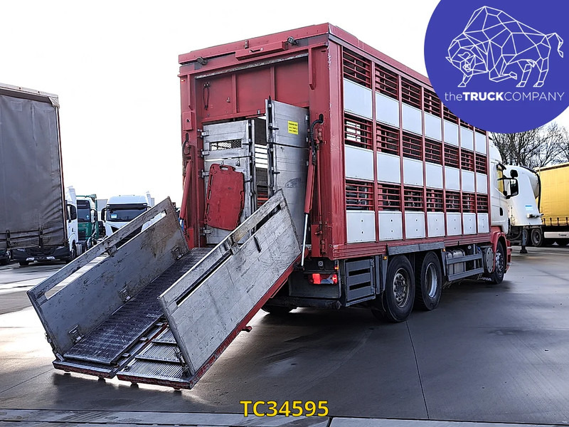 Scania R 500 - Livestock truck: picture 4 Scania R 500 - Livestock truck: picture 4