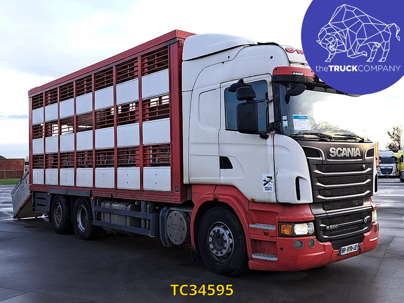 Scania R 500 - Livestock truck: picture 2 Scania R 500 - Livestock truck: picture 2