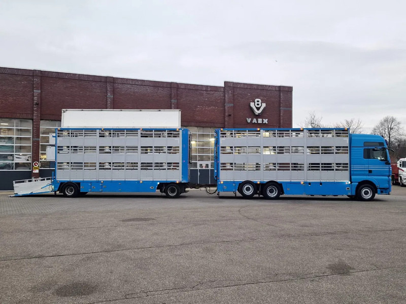 MAN TGX 26.440 6x2*4 - 3 deck Livestock - Water & Ventilation + Jumbo/Bekkers 3 deck trailer - Livestock truck: picture 3 MAN TGX 26.440 6x2*4 - 3 deck Livestock - Water & Ventilation + Jumbo/Bekkers 3 deck trailer - Livestock truck: picture 3