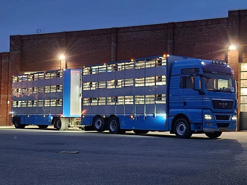 MAN TGX 26.440 6x2*4 - 3 deck Livestock - Water & Ventilation + Jumbo/Bekkers 3 deck trailer - Livestock truck: picture 2 MAN TGX 26.440 6x2*4 - 3 deck Livestock - Water & Ventilation + Jumbo/Bekkers 3 deck trailer - Livestock truck: picture 2