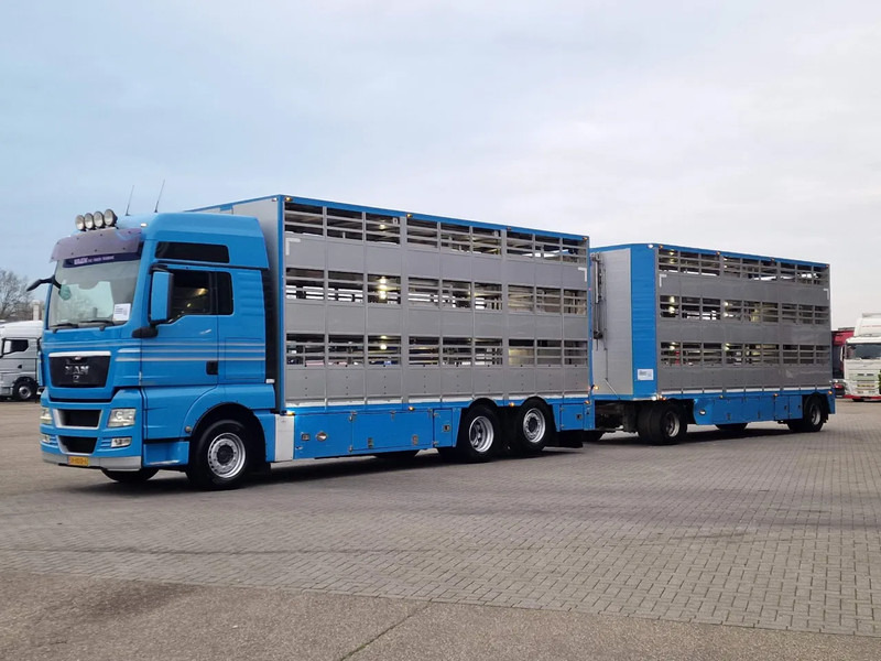 MAN TGX 26.440 6x2*4 - 3 deck Livestock - Water & Ventilation + Jumbo/Bekkers 3 deck trailer - Livestock truck: picture 4 MAN TGX 26.440 6x2*4 - 3 deck Livestock - Water & Ventilation + Jumbo/Bekkers 3 deck trailer - Livestock truck: picture 4