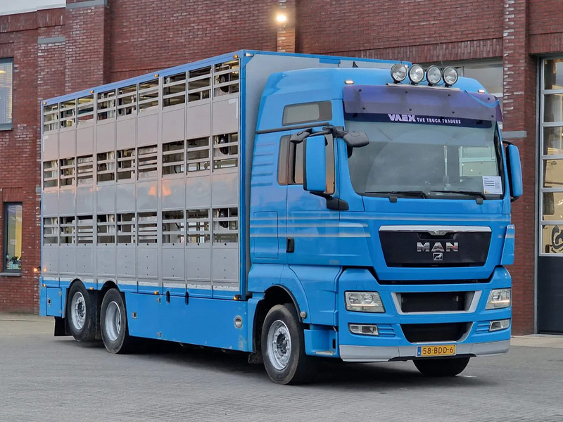 MAN TGX 26.440 6x2*4 - 3 deck Livestock - Water & Ventilation - Manual gearbox - Steering axle - Livestock truck: picture 2 MAN TGX 26.440 6x2*4 - 3 deck Livestock - Water & Ventilation - Manual gearbox - Steering axle - Livestock truck: picture 2