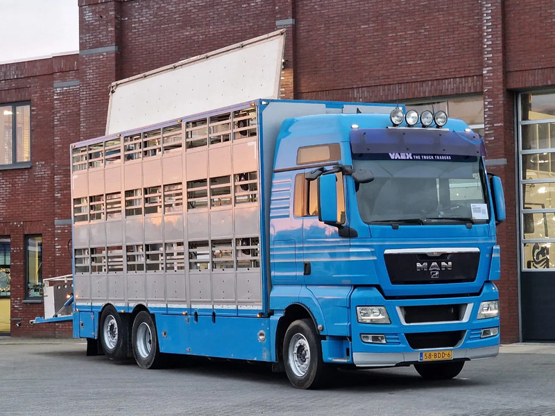MAN TGX 26.440 6x2*4 - 3 deck Livestock - Water & Ventilation - Manual gearbox - Steering axle - Livestock truck: picture 1 MAN TGX 26.440 6x2*4 - 3 deck Livestock - Water & Ventilation - Manual gearbox - Steering axle - Livestock truck: picture 1