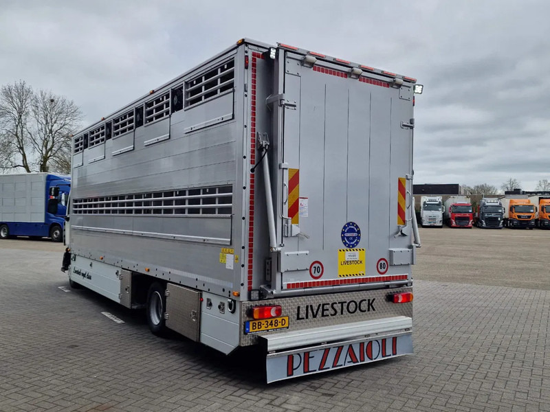 New Livestock truck Renault Midlum D210 4x2 - NEW - Pezzaioli 1 deck - Ventilation - 17.9M2 - Ramp - Euro6d: picture 6 New Livestock truck Renault Midlum D210 4x2 - NEW - Pezzaioli 1 deck - Ventilation - 17.9M2 - Ramp - Euro6d: picture 6