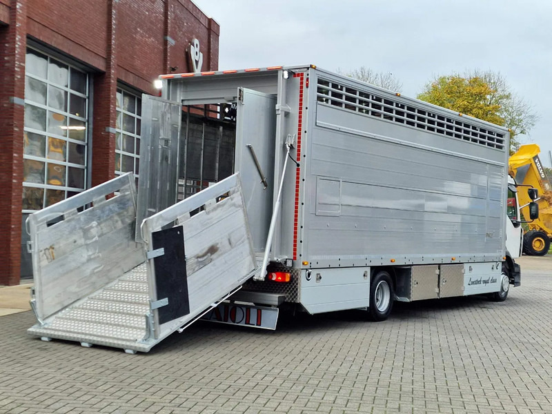 New Livestock truck Renault Midlum D210 4x2 - NEW - Pezzaioli 1 deck - Ventilation - 17.9M2 - Ramp - Euro6d: picture 10 New Livestock truck Renault Midlum D210 4x2 - NEW - Pezzaioli 1 deck - Ventilation - 17.9M2 - Ramp - Euro6d: picture 10