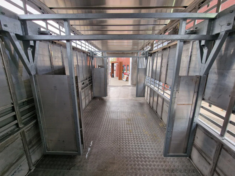 New Livestock truck Renault Midlum D210 4x2 - NEW - Pezzaioli 1 deck - Ventilation - 17.9M2 - Ramp - Euro6d: picture 14 New Livestock truck Renault Midlum D210 4x2 - NEW - Pezzaioli 1 deck - Ventilation - 17.9M2 - Ramp - Euro6d: picture 14