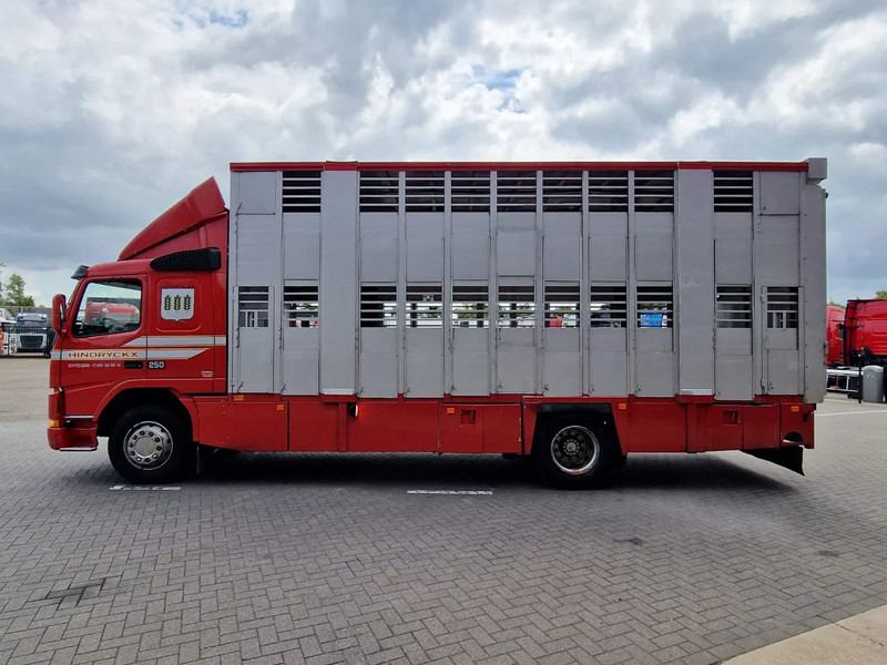 Volvo FM 250 4x- Livestock 2 deck - Lifting floors - Loadlift - Manual gearbox - Livestock truck: picture 4 Volvo FM 250 4x- Livestock 2 deck - Lifting floors - Loadlift - Manual gearbox - Livestock truck: picture 4