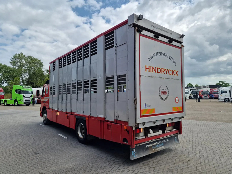 Volvo FM 250 4x- Livestock 2 deck - Lifting floors - Loadlift - Manual gearbox - Livestock truck: picture 5 Volvo FM 250 4x- Livestock 2 deck - Lifting floors - Loadlift - Manual gearbox - Livestock truck: picture 5