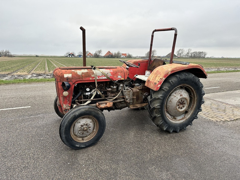 Massey Ferguson 35 - Farm tractor: picture 1 Massey Ferguson 35 - Farm tractor: picture 1