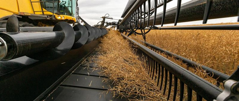 New Combine header Honey Bee AirFLEX NXT AFN245: picture 11