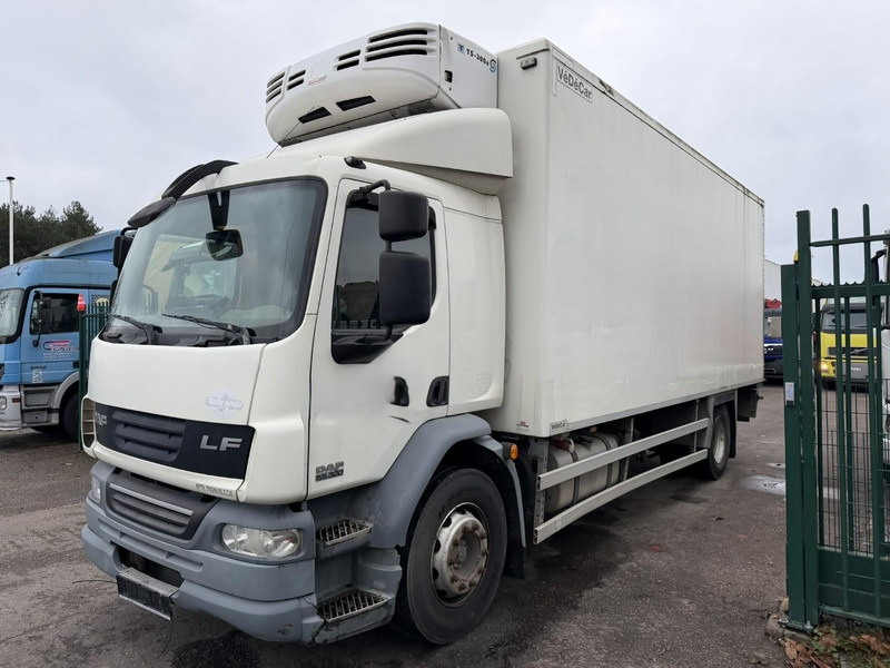 DAF LF 55.300 - 19T FRIGO THERMOKING TS-300e - TAILLIFT - BOX 6m45 x 2m49 x 2m49 - EURO 5 - A/C - BE TRUCK - Refrigerator truck: picture 3 DAF LF 55.300 - 19T FRIGO THERMOKING TS-300e - TAILLIFT - BOX 6m45 x 2m49 x 2m49 - EURO 5 - A/C - BE TRUCK - Refrigerator truck: picture 3
