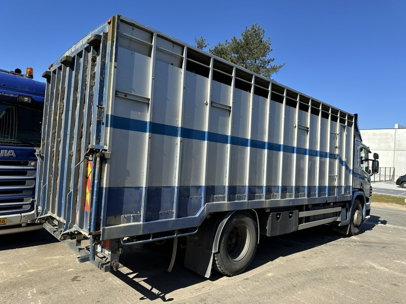 Scania P310 4x2 ANIMAL TRANSPORT - ALU BOX 7m - MANUAL - AIR SUSPENSION - A/C - BELGIAN TRUCK - Livestock truck: picture 4 Scania P310 4x2 ANIMAL TRANSPORT - ALU BOX 7m - MANUAL - AIR SUSPENSION - A/C - BELGIAN TRUCK - Livestock truck: picture 4