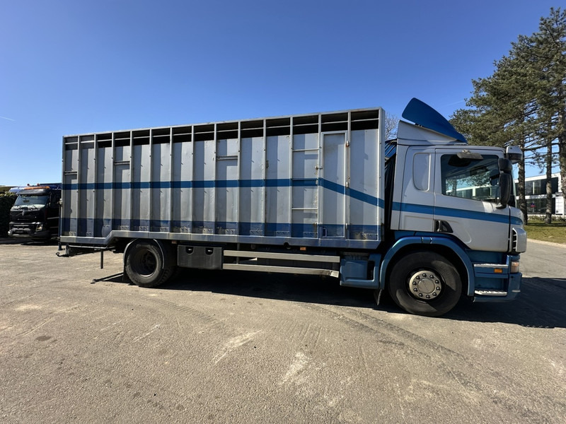 Scania P310 4x2 ANIMAL TRANSPORT - ALU BOX 7m - MANUAL - AIR SUSPENSION - A/C - BELGIAN TRUCK - Livestock truck: picture 2 Scania P310 4x2 ANIMAL TRANSPORT - ALU BOX 7m - MANUAL - AIR SUSPENSION - A/C - BELGIAN TRUCK - Livestock truck: picture 2